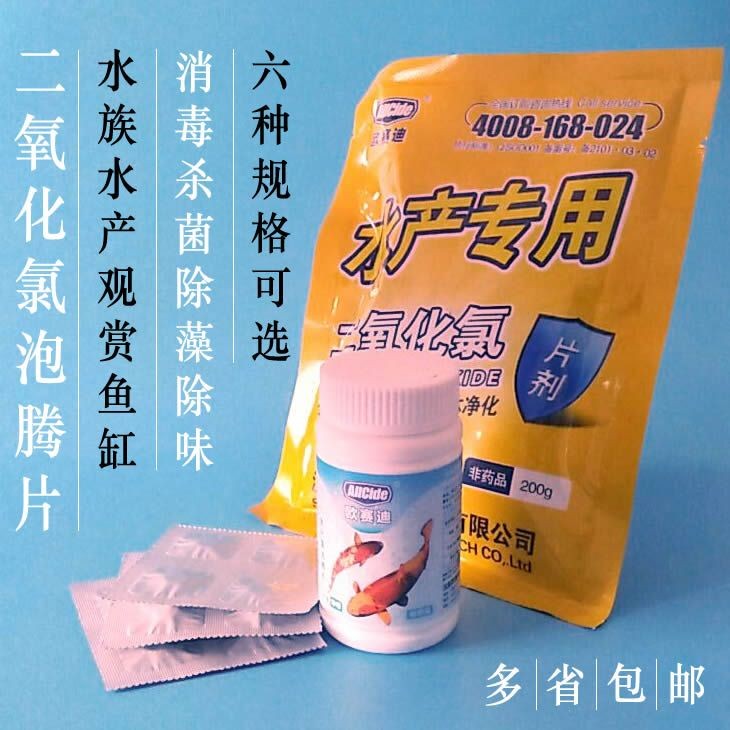大魚缸工具魚：養護大型魚缸時，選擇合適的工具魚不僅能幫助清理魚缸