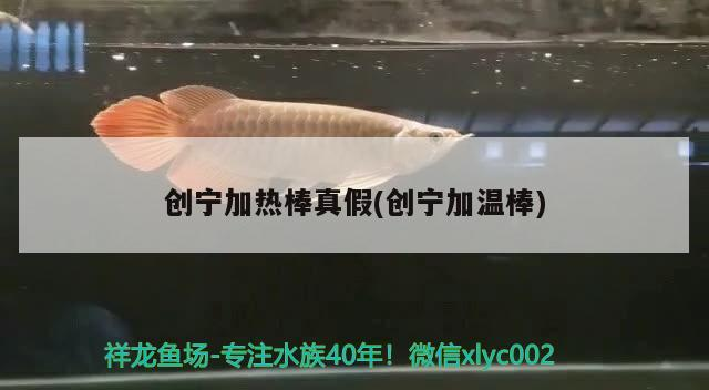 創(chuàng)寧加熱棒真假(創(chuàng)寧加溫棒)