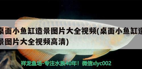 魚缸里有透明絲狀的東西是什么蟲（魚缸出現一條長長的印跡）