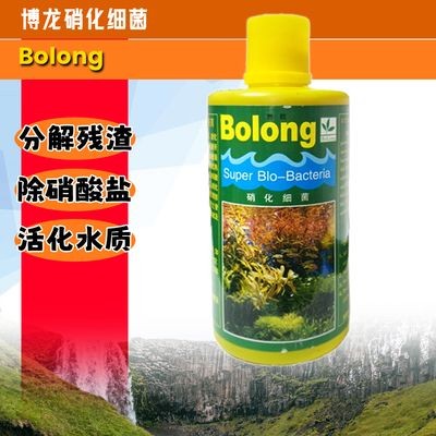 博龍魚缸怎么樣，博龍魚缸是一個值得考慮的選擇，