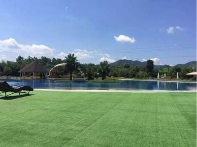 萍鄉水族館vs祥龍魚場（萍鄉水族館與祥龍魚場各有其特色和優勢）