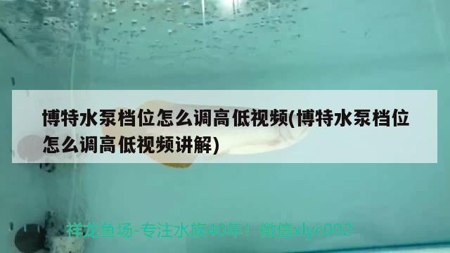 博特水泵檔位怎么調高低視頻(博特水泵檔位怎么調高低視頻講解)