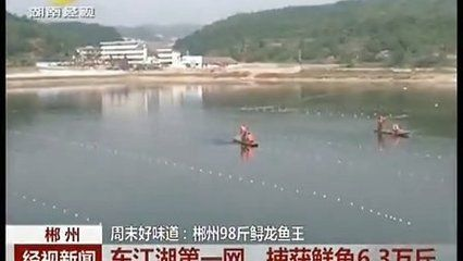 郴州龍魚vs祥龍魚場（探討郴州龍魚與祥龍魚場的差異之前，我們需要明確兩者所代表內(nèi)容）