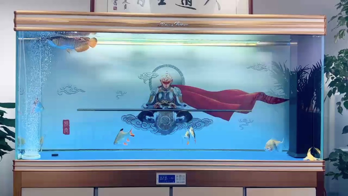 何以解憂 唯有養魚