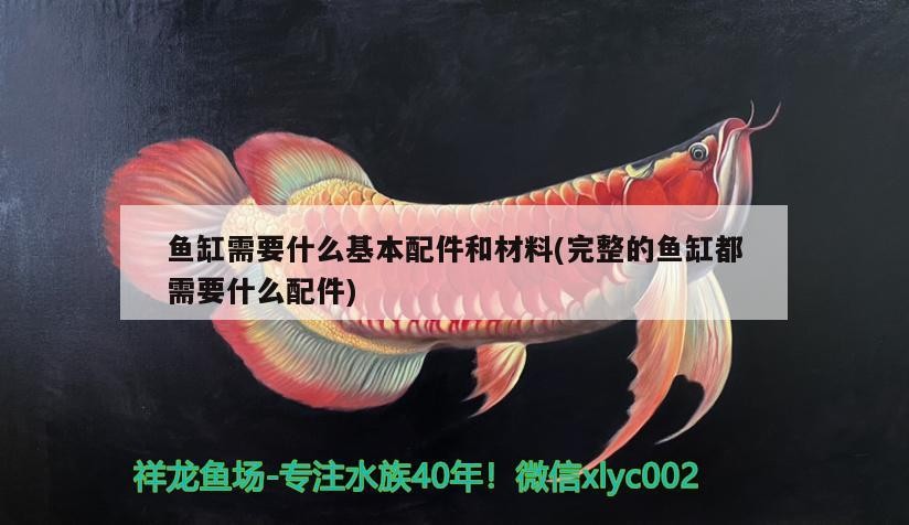 銀龍魚肉質(銀龍魚價值)