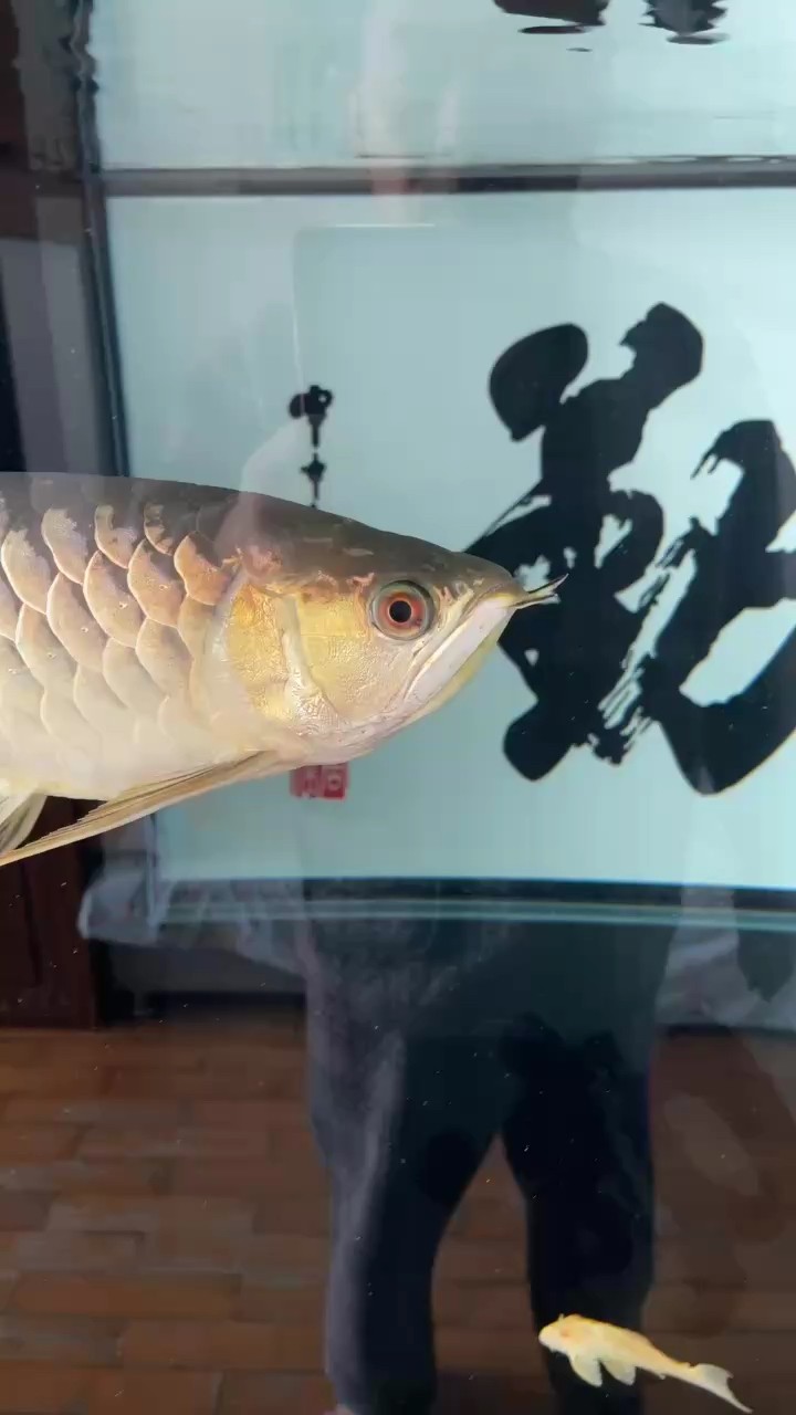 我們17個月了