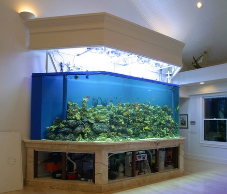 魚缸水發(fā)白霧蒙蒙的起泡沫怎么回事啊視頻（魚缸水發(fā)白霧蒙蒙的起泡沫怎么回事啊視頻講解）