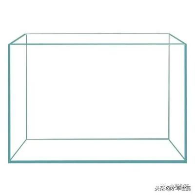超白魚缸什么材質的好用：超白玻璃魚缸材質優缺點分析