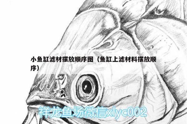 制作底濾魚缸全過程