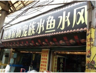 淮南水族館vs祥龍魚場（探討淮南水族館與祥龍魚場之間的差異時，我們可以從多個角度分析）