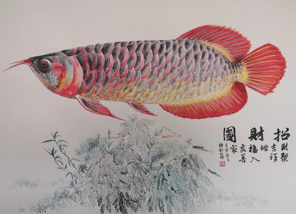 紅龍魚國畫高清