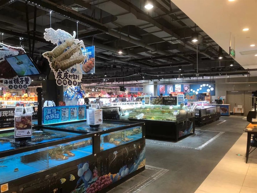 南昌水族館vs祥龍魚場（南昌水族館與祥龍魚場的區別）