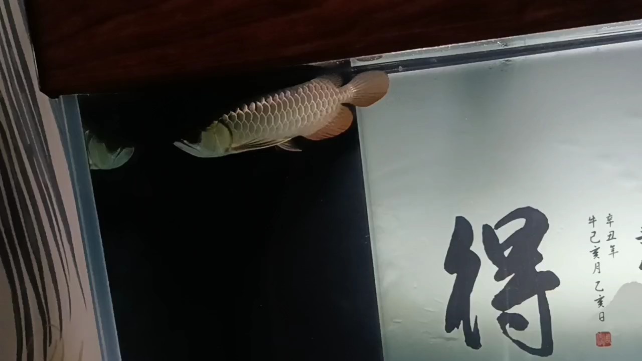 今天心情有點遭