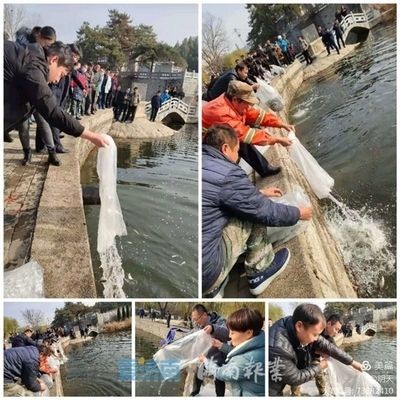 放魚養(yǎng)水保護(hù)生態(tài)提高什么能力（放魚養(yǎng)水是一種怎樣的體驗(yàn)？）