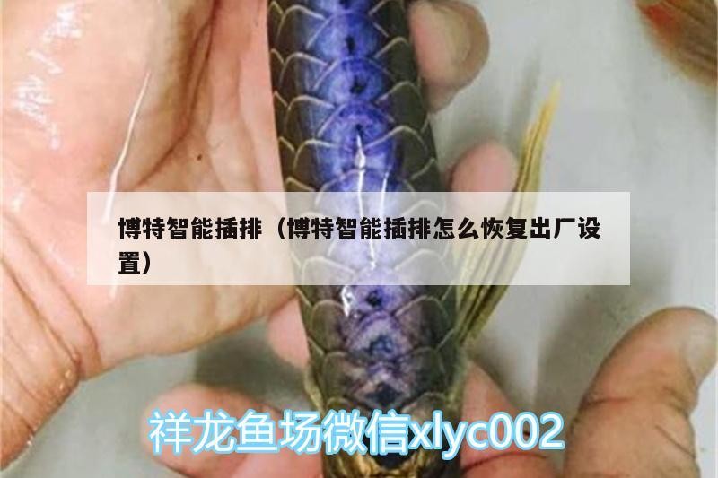 博特智能插排（博特智能插排怎么恢復出廠設置）