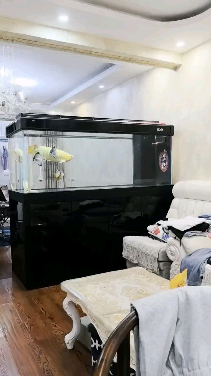 十天不開口，終于開口吃了個蝦！好的開始！！！
