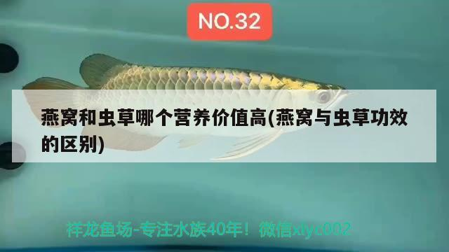 麻城市陵園路花季鮮花禮品店