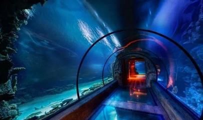 南陽水族館vs祥龍魚場（南陽水族館和祥龍魚場各有其特色和目標客戶群）