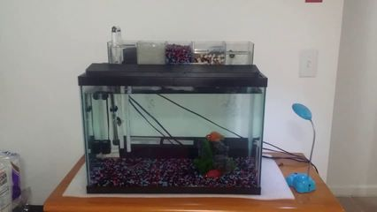 1米的魚缸多重：玻璃魚缸的重量計算方法
