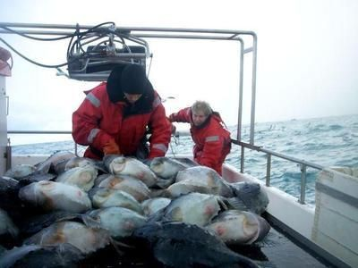 無(wú)錫龍魚vs祥龍魚場(chǎng)（無(wú)錫龍魚和祥龍魚場(chǎng)）