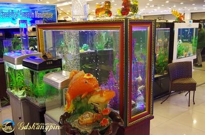 大魚缸怎么賣出去：大魚缸的營銷策略
