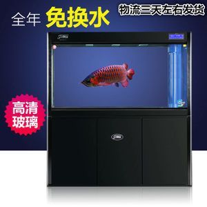 如何判斷高背金龍魚是否感染寄生蟲，如何判斷高背金龍魚感染寄生蟲 如何判斷高背金龍魚是否感染寄生蟲，如何判斷高背金龍魚感染寄生蟲 龍魚百科 第1張
