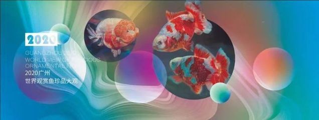 2020廣州世界觀賞魚珍品大觀：2020廣州世界觀賞魚珍品大觀12月26日在廣州舉行