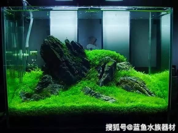 50魚缸造景：50魚缸造景的設(shè)計(jì)理念是創(chuàng)造一個(gè)自然且美觀的生態(tài)環(huán)境
