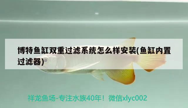 博特魚缸雙重過濾系統怎么樣安裝(魚缸內置過濾器)