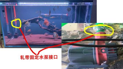 博特水泵質(zhì)保多久（博特水泵質(zhì)保多久啊）