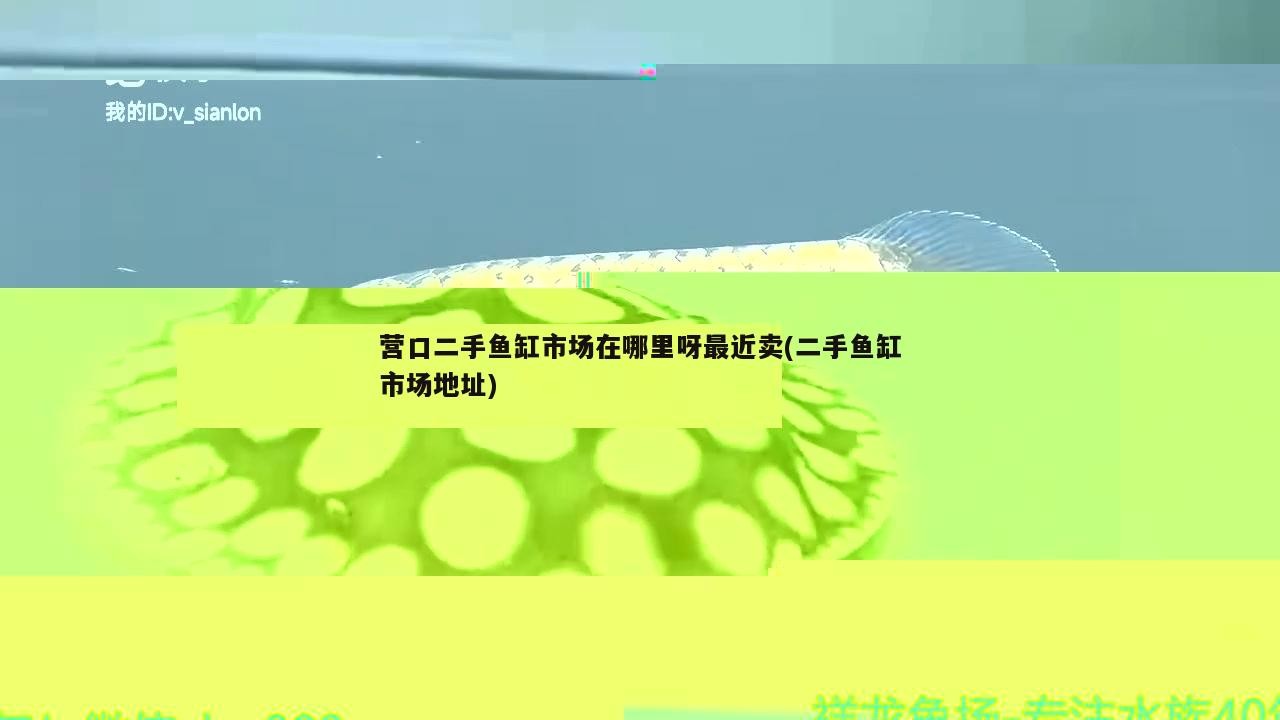 珠海買魚缸的地方有哪些店鋪呢(珠海魚缸推薦龍魚世家水族館)