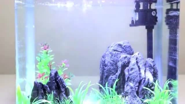 博特魚缸價格（博特魚缸價格價格表）
