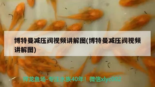 博特曼減壓閥視頻講解圖(博特曼減壓閥視頻講解圖)