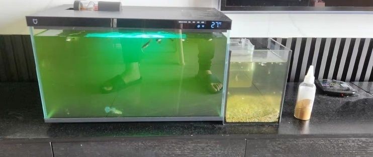 60公分魚缸造景設(shè)計方案視頻：60公分魚缸造景教程