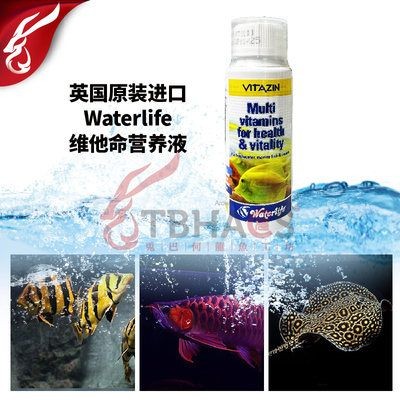 成都龍魚vs祥龍魚場（成都龍魚祥龍魚場與祥龍魚場的區(qū)別）