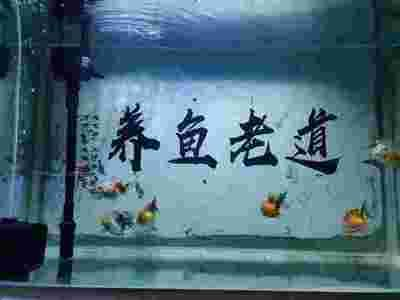 龍魚爛尾巴最簡單治療方法是什么vs祥龍魚場：龍魚爛尾巴的最簡單治療方法