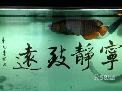 淮南魚缸售后維護電話地址及查詢的相關(guān)信息，淮南魚缸售后維護電話和地址查詢服務(wù)旨在幫助用戶找到合適的信息