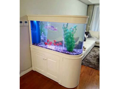 成品魚缸改造升級圖：成品魚缸改造之美觀升級分享如何通過改造和裝飾成品魚缸