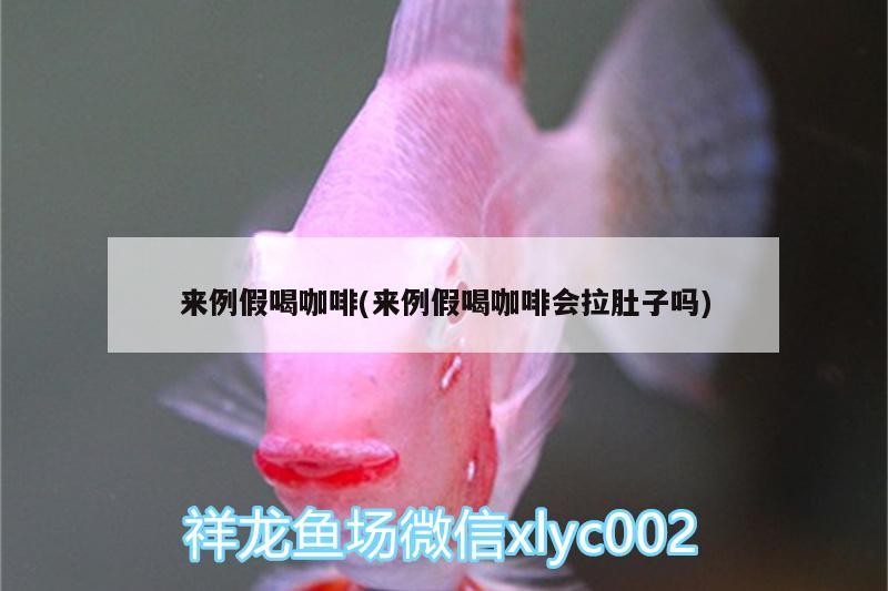 來例假喝咖啡(來例假喝咖啡會拉肚子嗎)