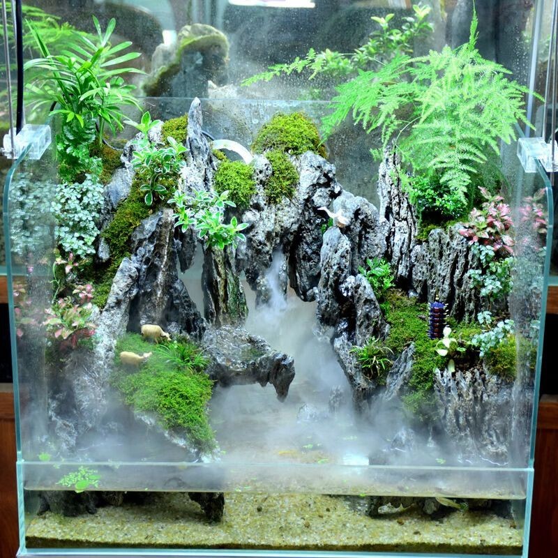 成品魚缸改水陸缸好嗎：成品魚缸改水陸缸的優缺點 成品魚缸改水陸缸好嗎：成品魚缸改水陸缸的優缺點 魚缸百科 第1張