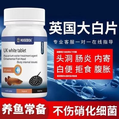 龍魚外寄用什么藥效果好vs祥龍魚場(chǎng)：治療龍魚外寄生蟲的藥物與祥龍魚場(chǎng)的治療方法分享