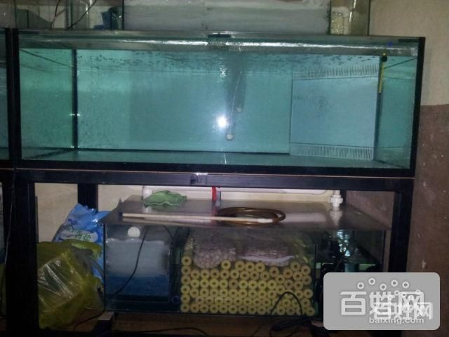 魟魚要多大的魚缸：魟魚要多大的魚缸才合適