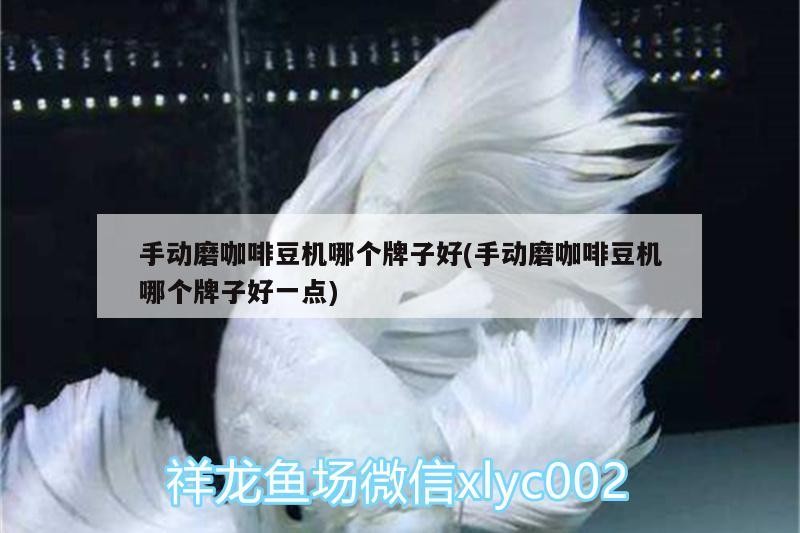 手動磨咖啡豆機哪個牌子好(手動磨咖啡豆機哪個牌子好一點) 手動磨咖啡豆機哪個牌子好(手動磨咖啡豆機哪個牌子好一點) 馬來西亞咖啡