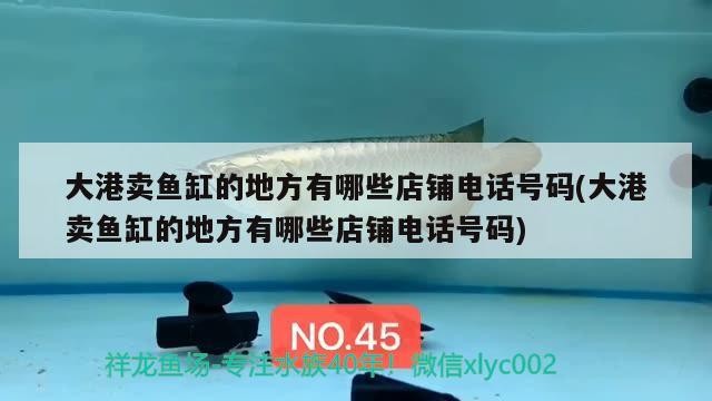 大港賣魚缸的地方有哪些店鋪電話號碼(大港賣魚缸的地方有哪些店鋪電話號碼)