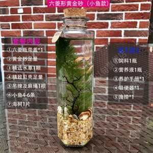 diy魚缸換水：diy魚缸換水的方法和注意事項和注意事項和注意事項