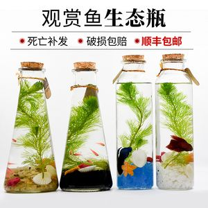 diy魚缸換水：diy魚缸換水的方法和注意事項和注意事項和注意事項
