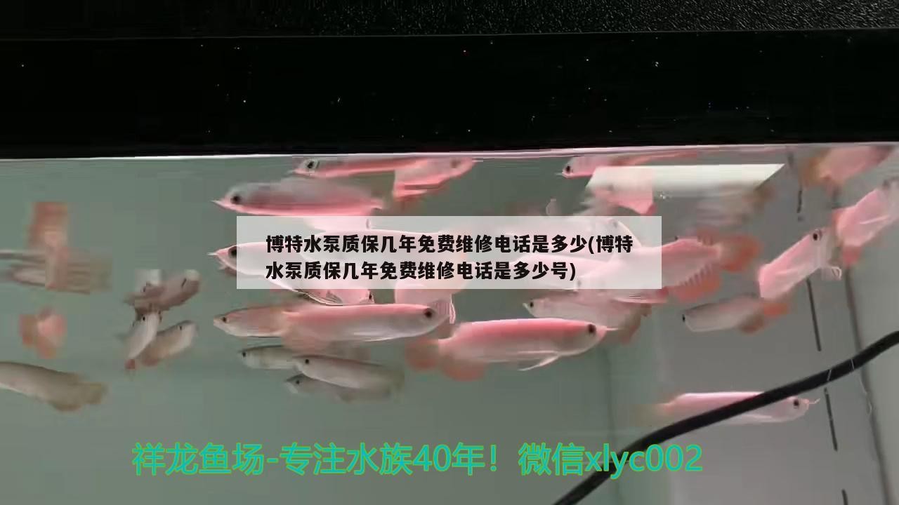 博特水泵質保幾年免費維修電話是多少(博特水泵質保幾年免費維修電話是多少號)