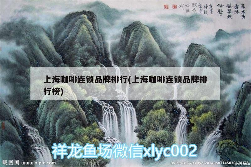 上海咖啡連鎖品牌排行(上海咖啡連鎖品牌排行榜)