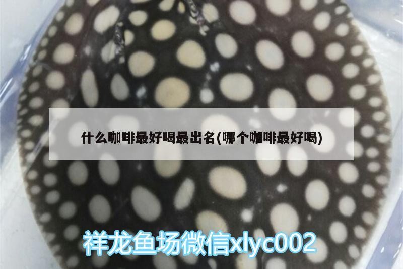鸚鵡魚和銀龍魚混養怎樣喂食 什么咖啡最好喝最出名(哪個咖啡最好喝) 馬來西亞咖啡 什么咖啡最好喝最出名(哪個咖啡最好喝) 什么咖啡最好喝最出名(哪個咖啡最好喝) 馬來西亞咖啡