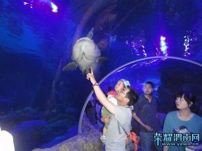渭南水族館vs祥龍魚場（渭南水族館和祥龍魚場各有側(cè)重）